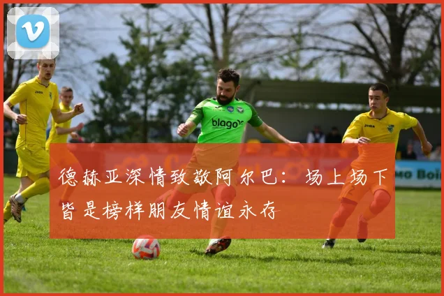 德赫亚深情致敬阿尔巴：场上场下皆是榜样朋友情谊永存