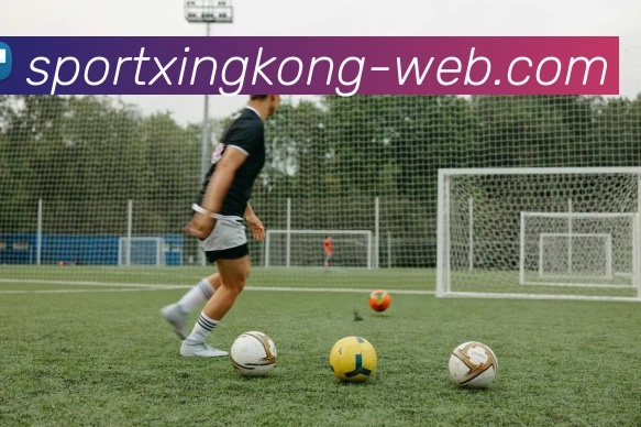 App Interface Preview