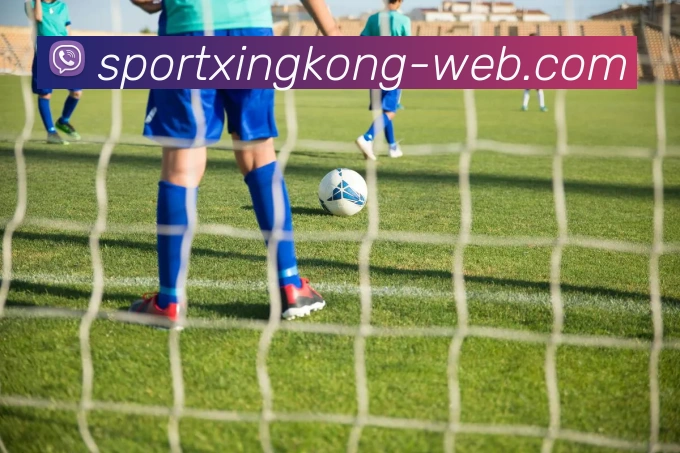 星空体育APP 封面图